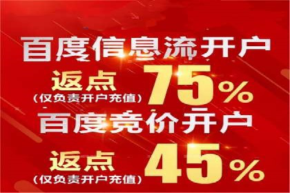 SEM广告投放中的创意策略成功案例